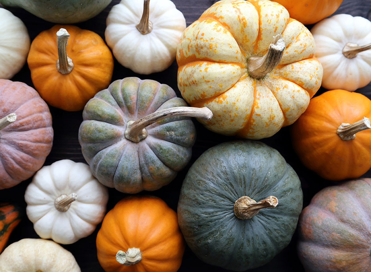 colored pumpkins