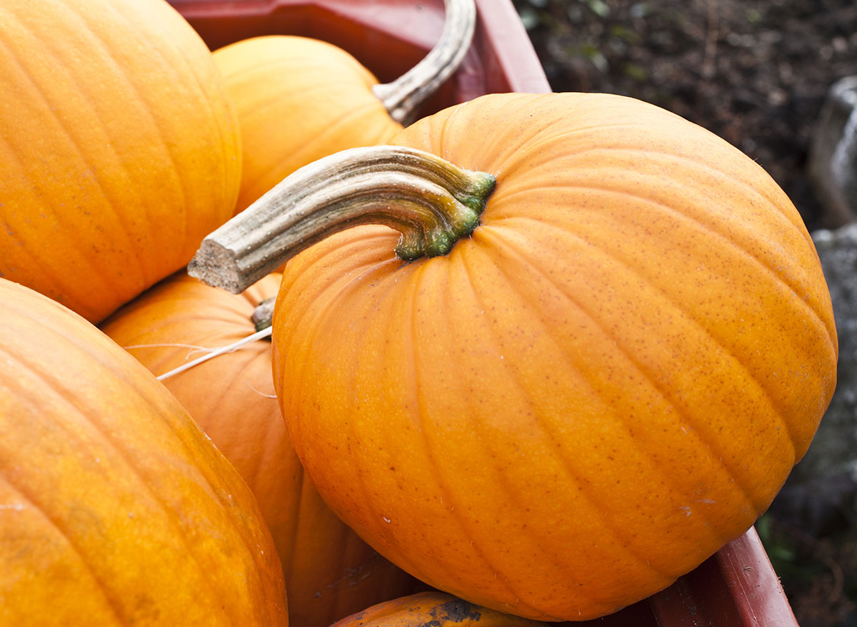pumpkin with stem