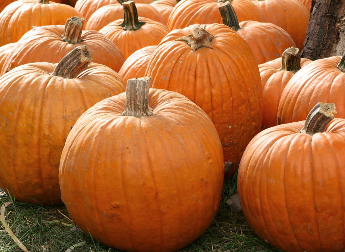 stemmed pumpkins