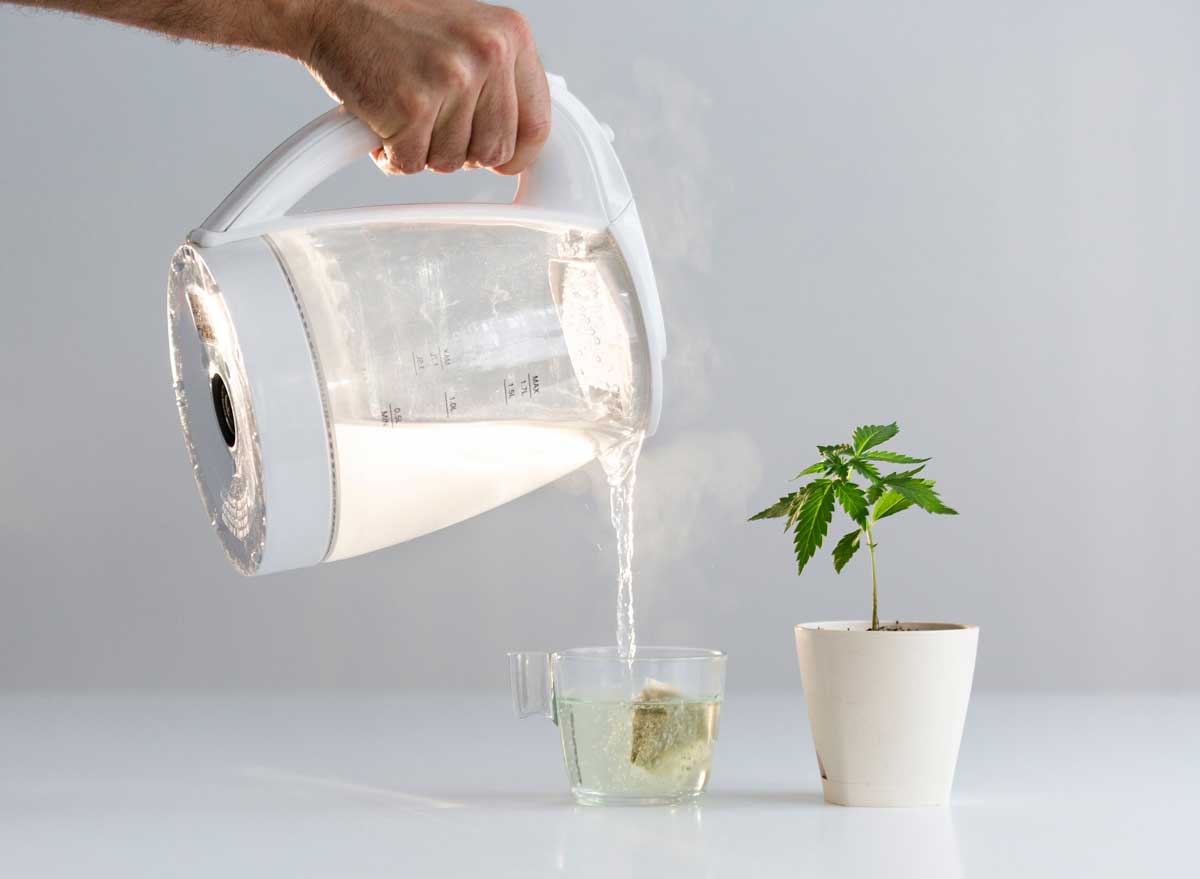Pouring pitcher of CBD water tea