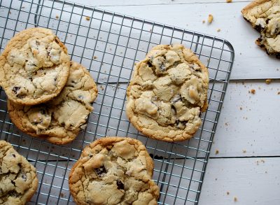 homemade chocolate chip cookies sitting cooling off on a drying rack