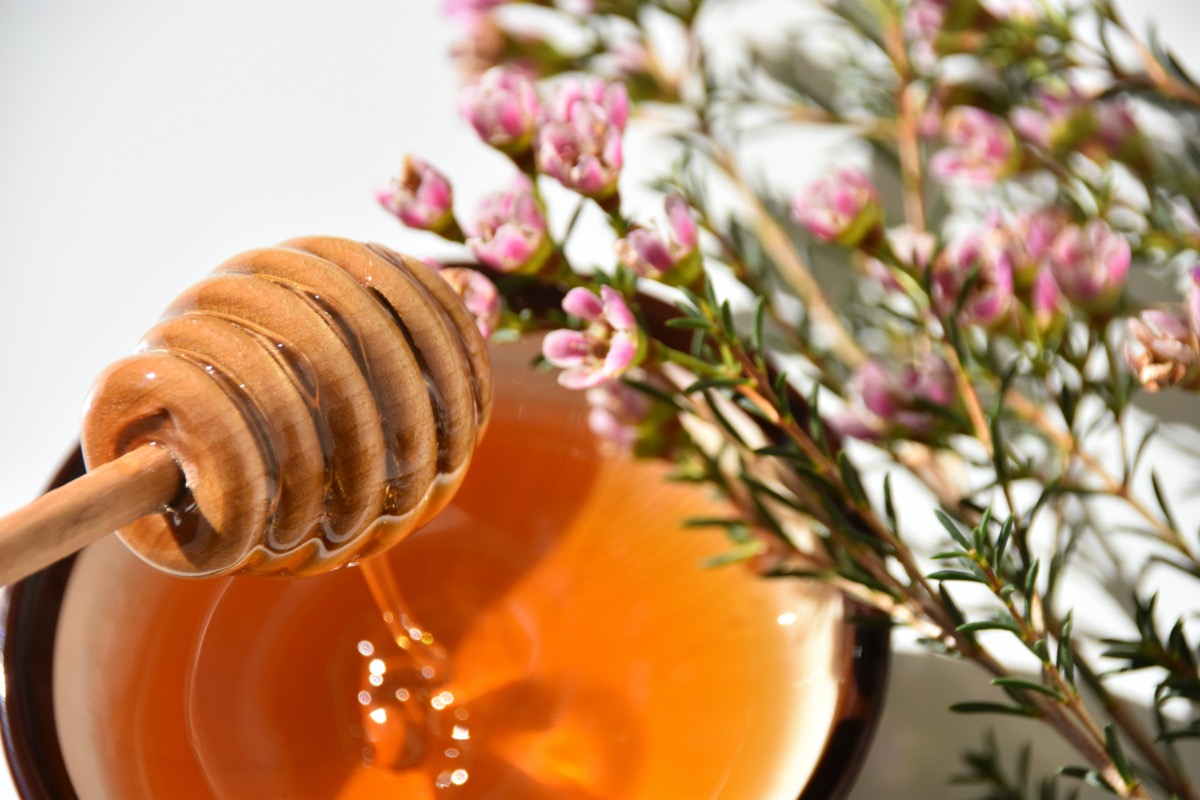 manuka tree flower honey and dipper in a brown bowl