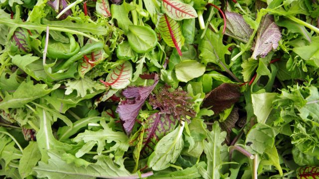 a closeup shot of mixed greens