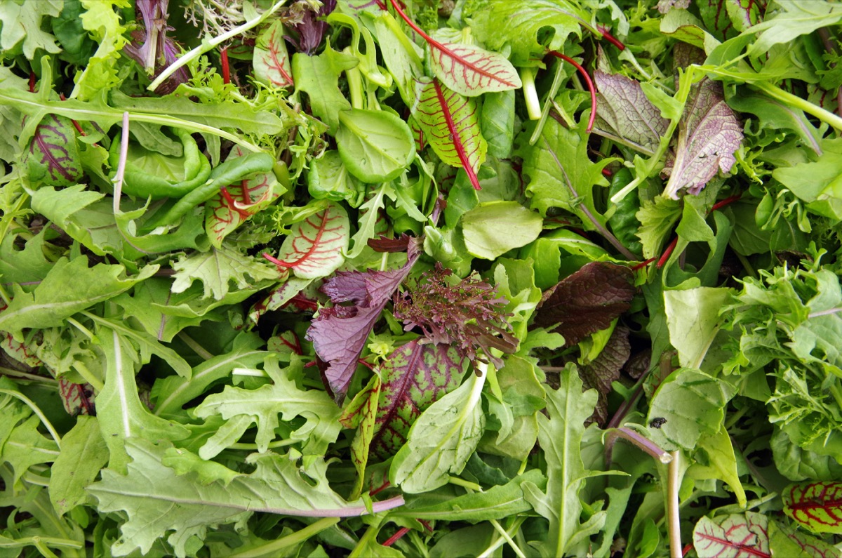 Missa Bay Salad Recall What You Need to Know — Eat This Not That