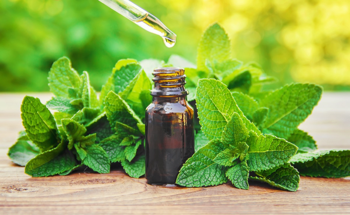 The mint extract in a small jar