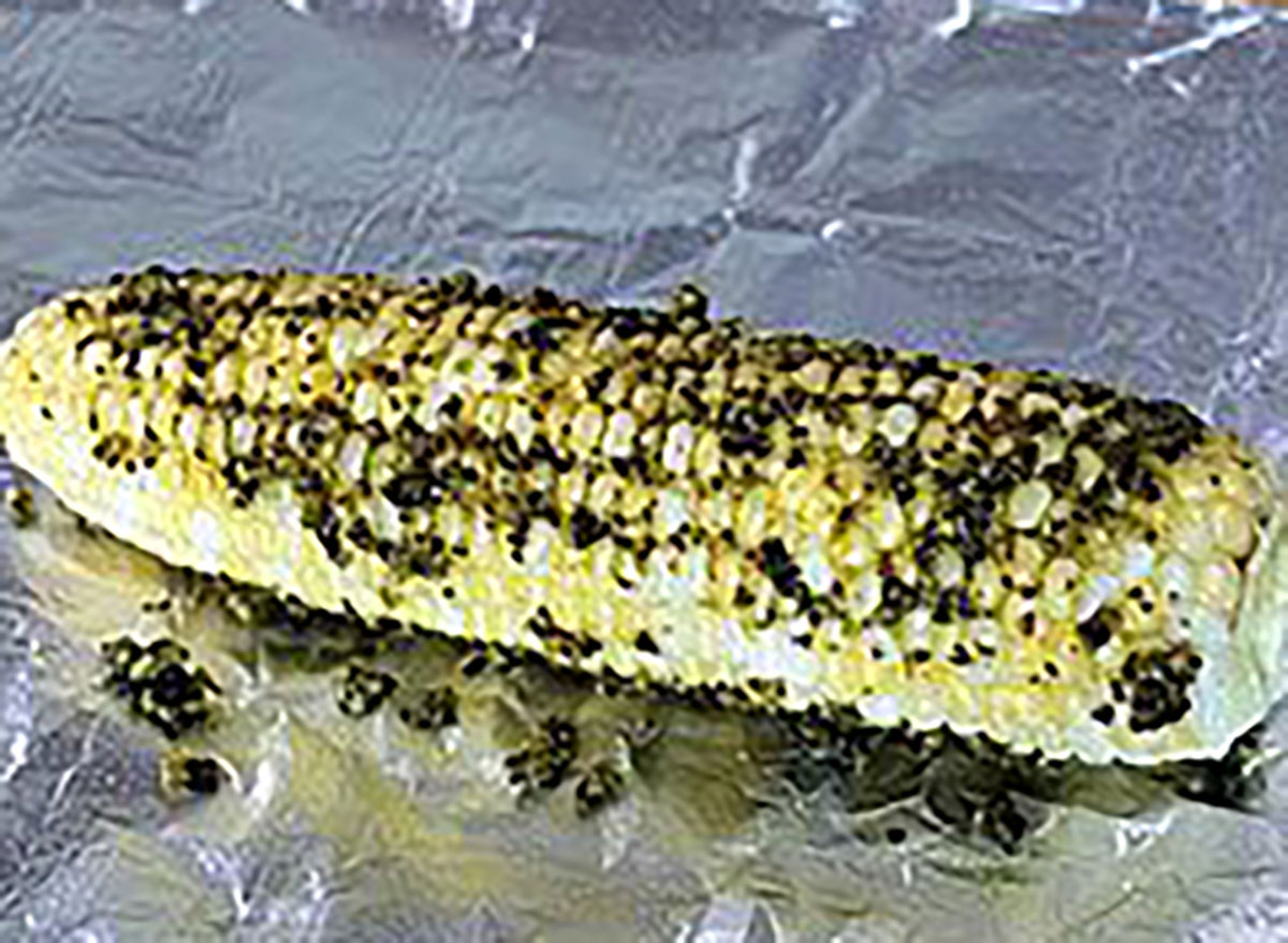 slow cooker corn on the cob with pesto