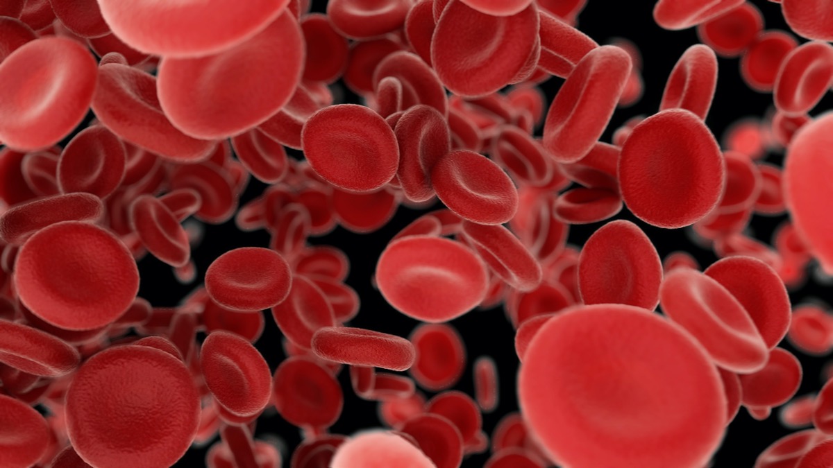 Blood cells flying through arteries