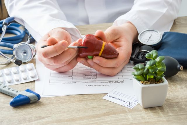 doctors appointment physician shows to patient shape of liver with focus on hand with organ