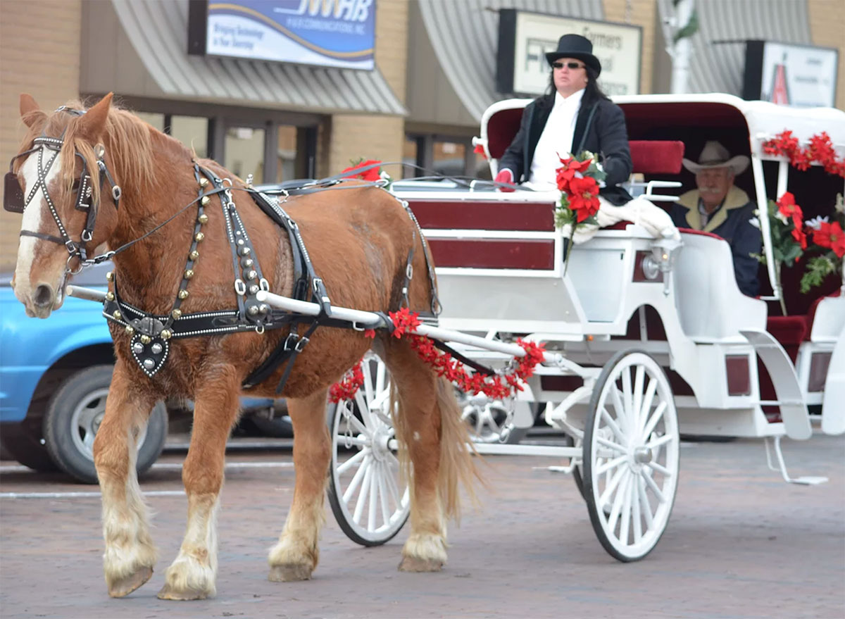 kansas christmas market