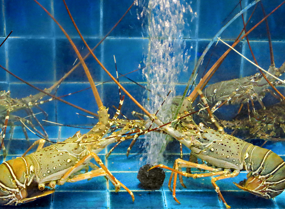 15 Wegmans Facts All Fans Should Know — Eat This Not That