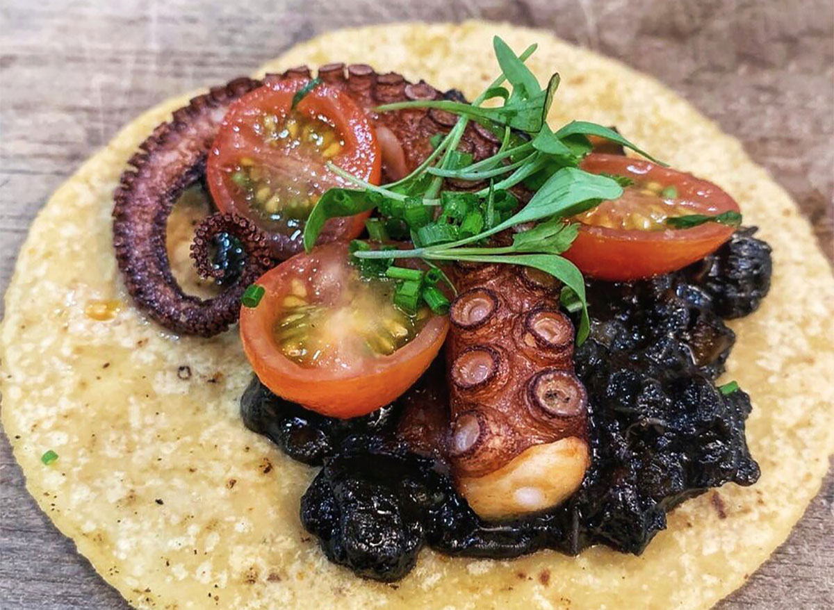 octopus taco from holbox in california