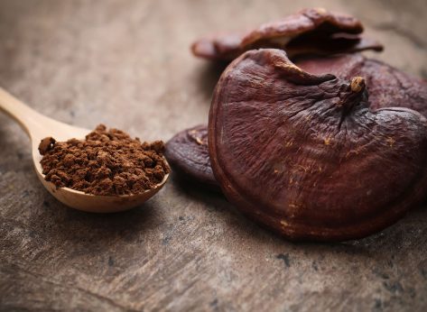 The Health Benefits of Reishi Mushroom