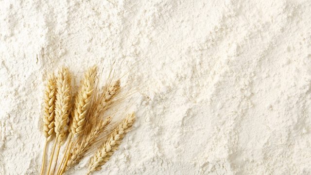 wheat grain flour
