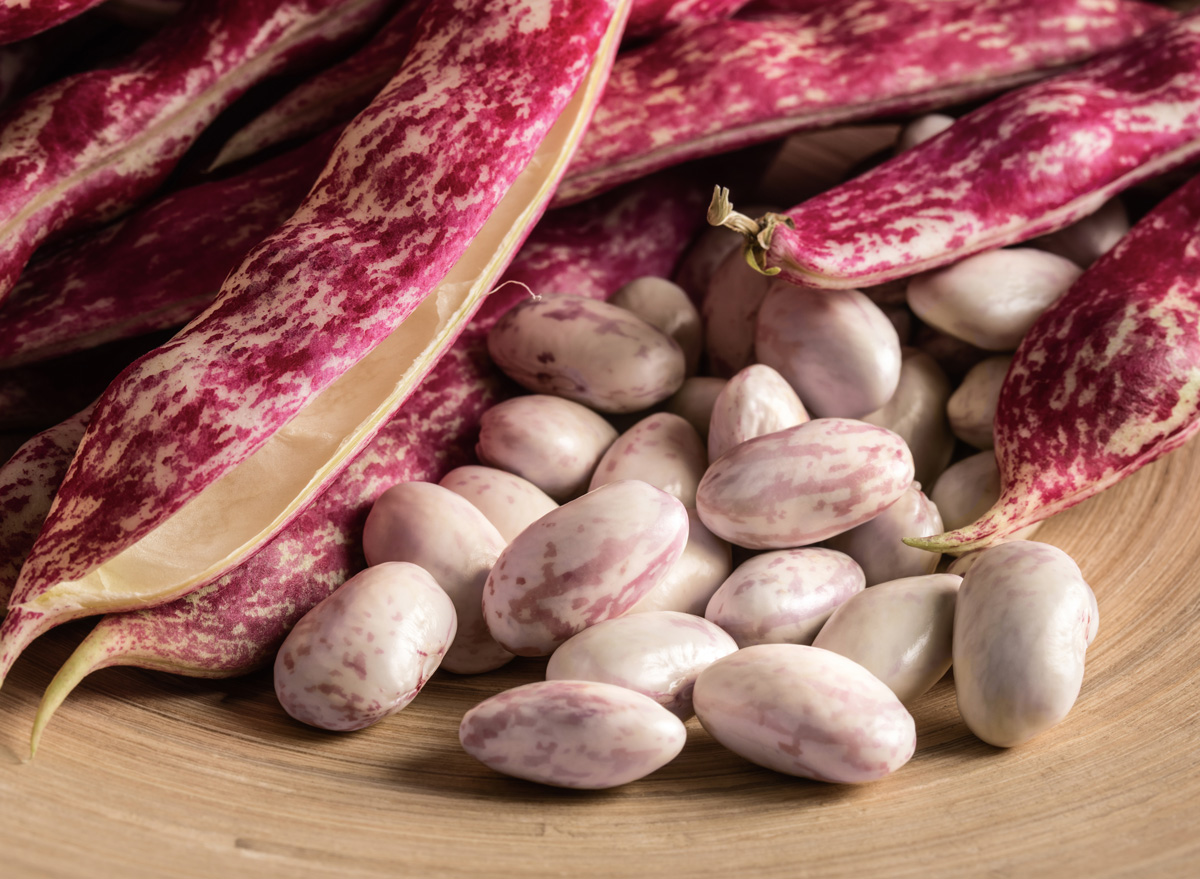 Cranberry roman beans