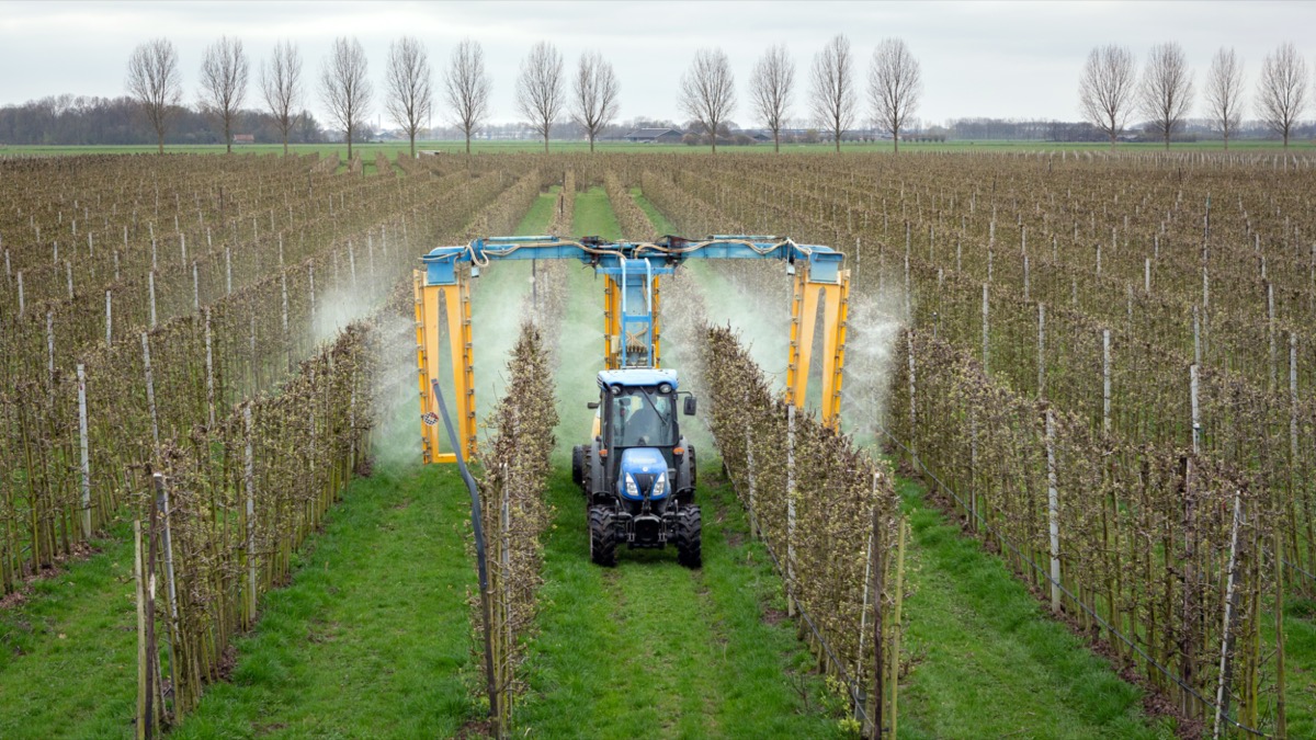 A modern orchard sprayer spraying an insecticide or fungicide on an apple tree.