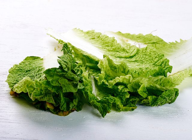 pile of fresh, wilted lettuce