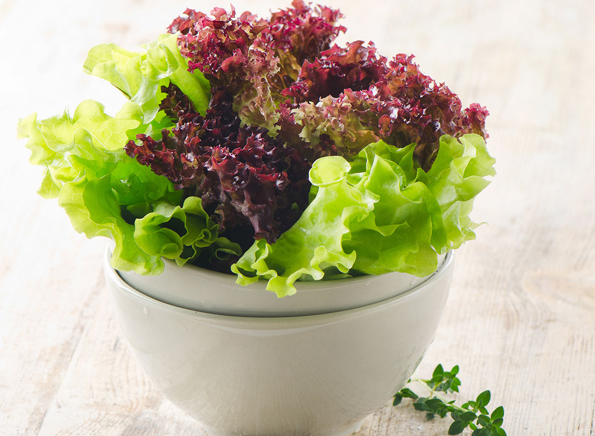 Red lettuce