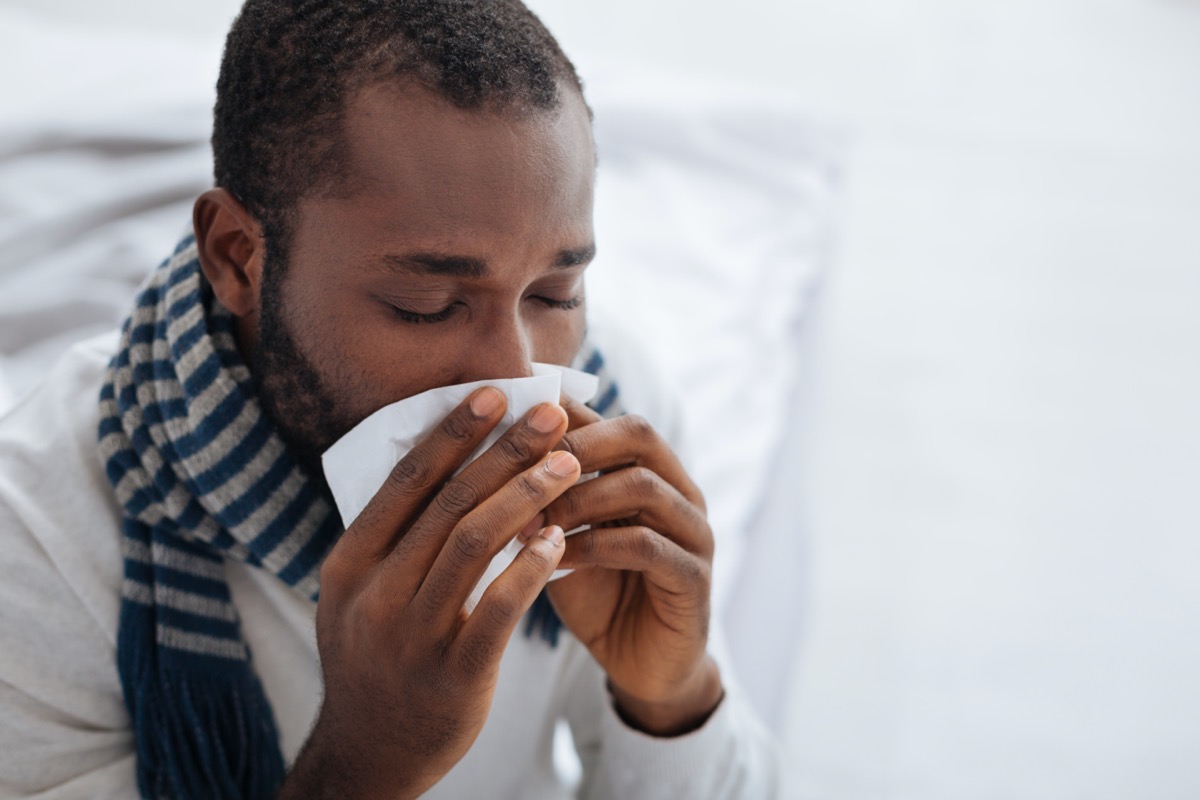 What Happens to Your Body When You Take Echinacea Every Day