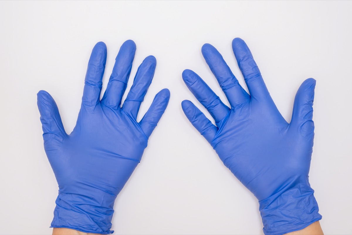 Human hands wearing blue surgical latex nitrile gloves for doctor and nurse protection during patient examination on white background.