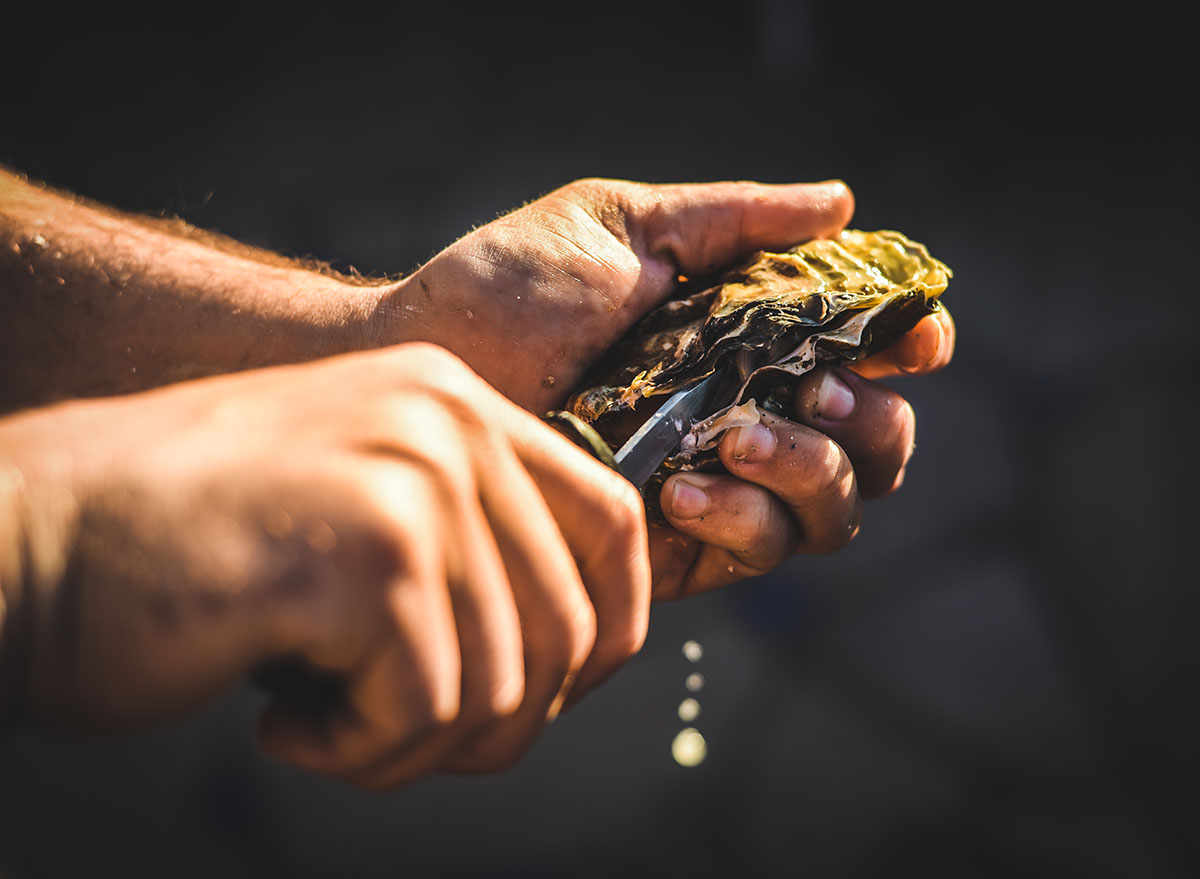 oyster shucking knife