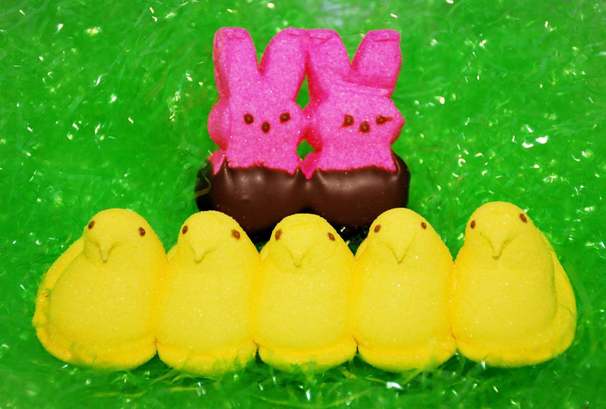 peeps easter bunnies and chicks