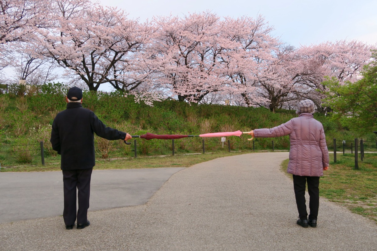 couple holding umbrellas park social distancing