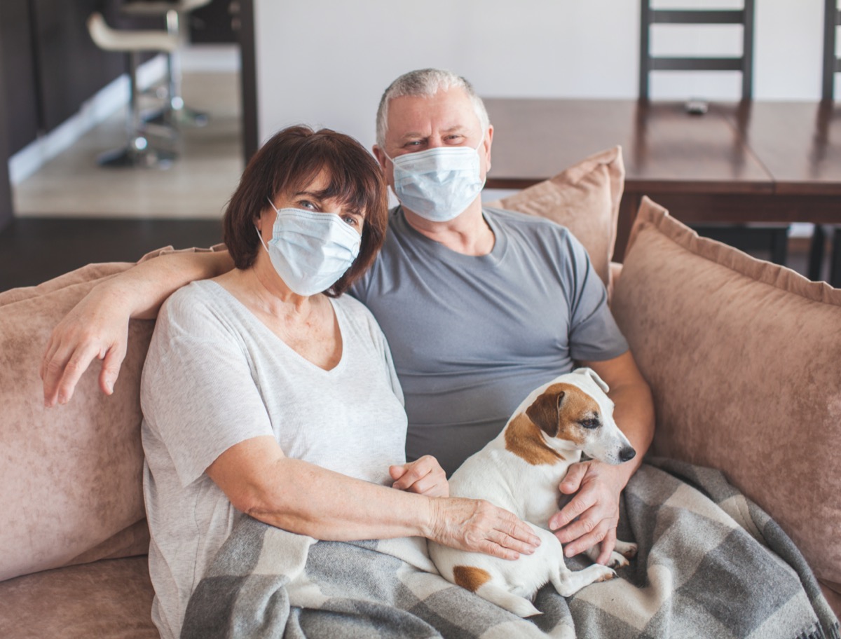 Mature couple face mask home sofa dog