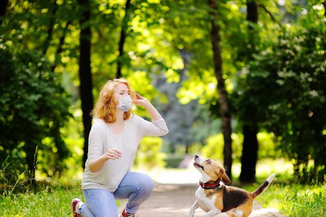 no mask on dogs