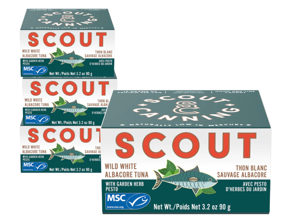 Scout tuna