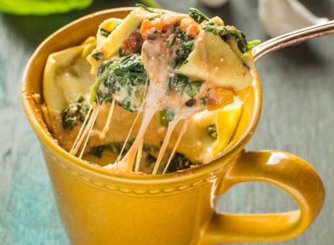 24 Mug Meals for Your Microwave