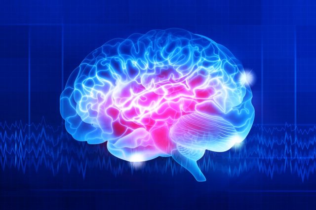 human brain on dark blue background