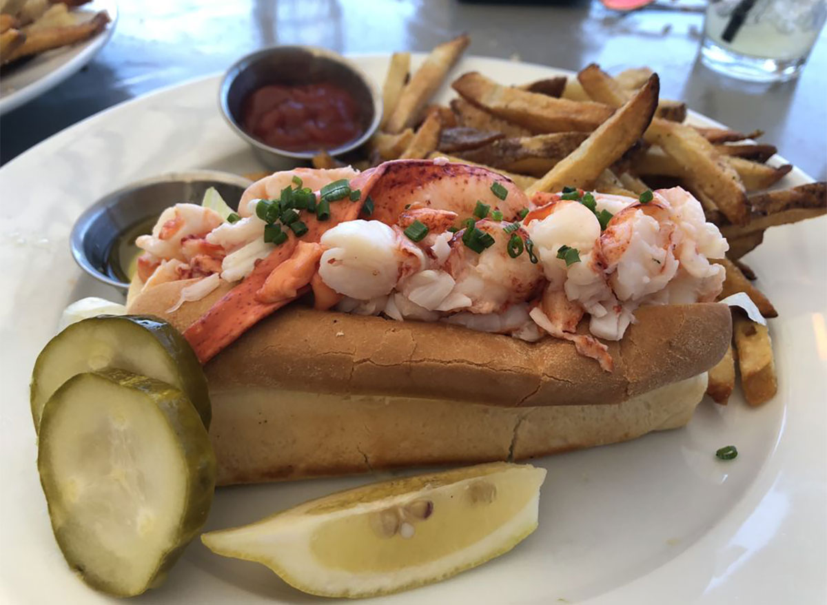 maine lobster roll