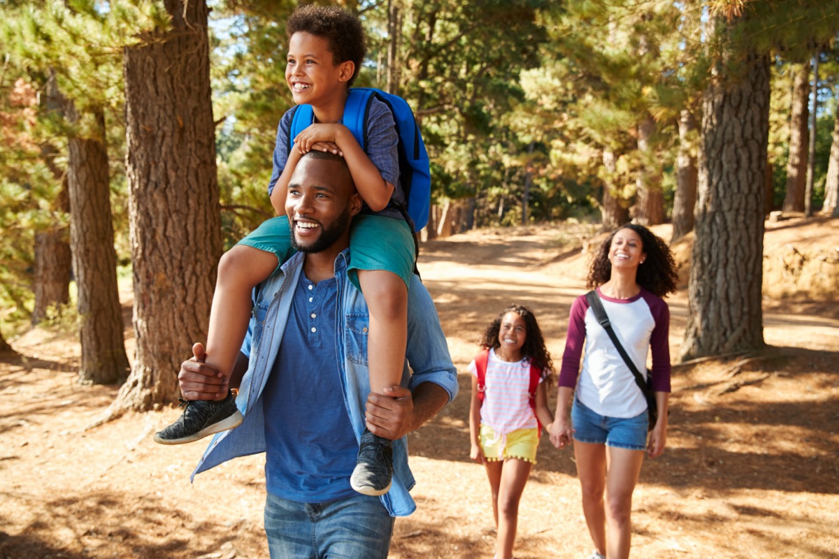 Family On Hiking Adventure Through Forest