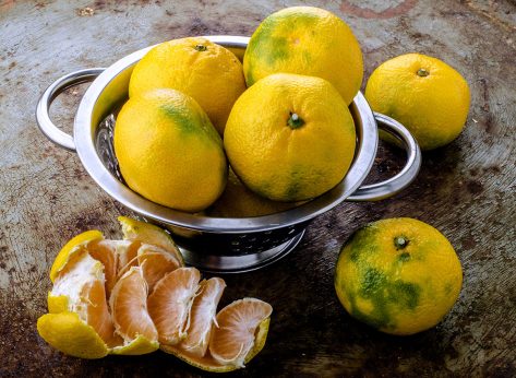 5 Side Effects of Eating Expired Foods