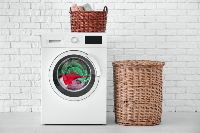 can bacteria survive in the washing machine