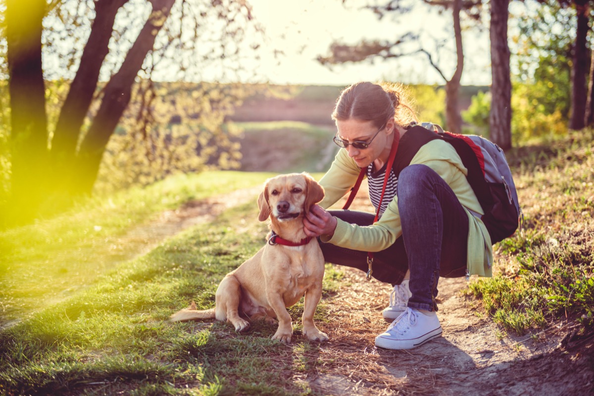 Woman checking dog for ticks