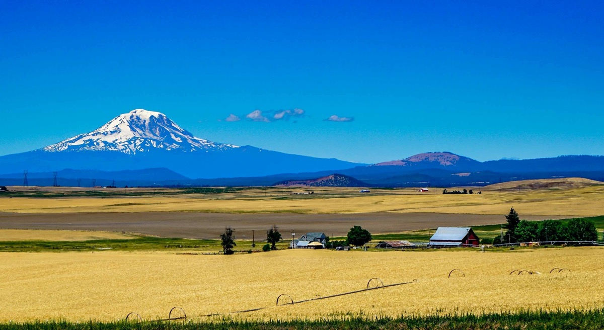 This amazing farm with a breathtaking view of a snow-capped Mount Adams near Yakima Washington.