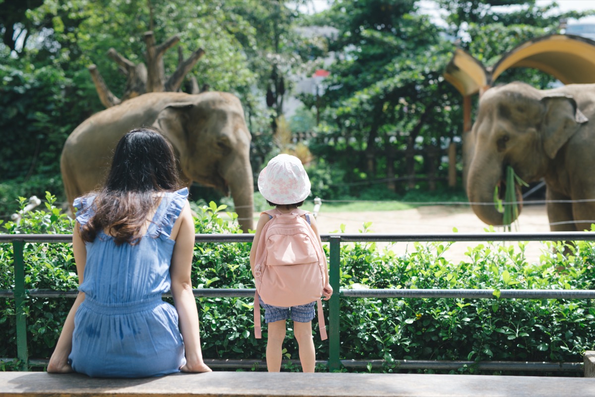 Happy mother and daughter watching elephants in zoo.
