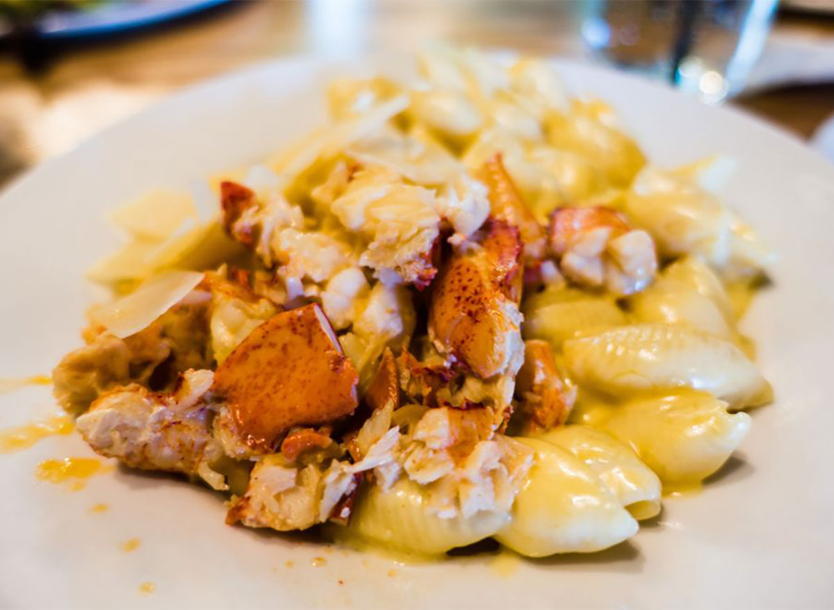 plate of lobster mac and cheese