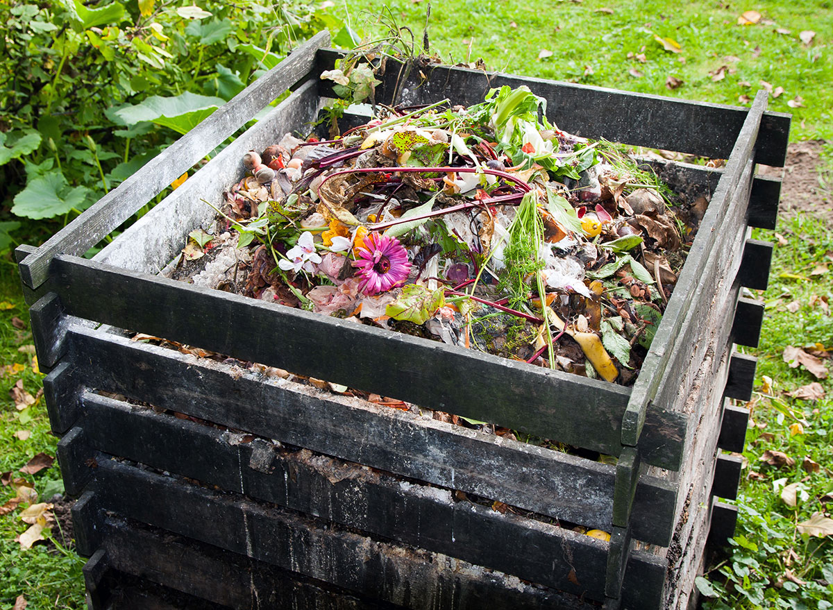 compost pile