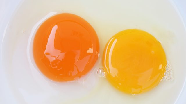 two different egg yolk colors in a bowl