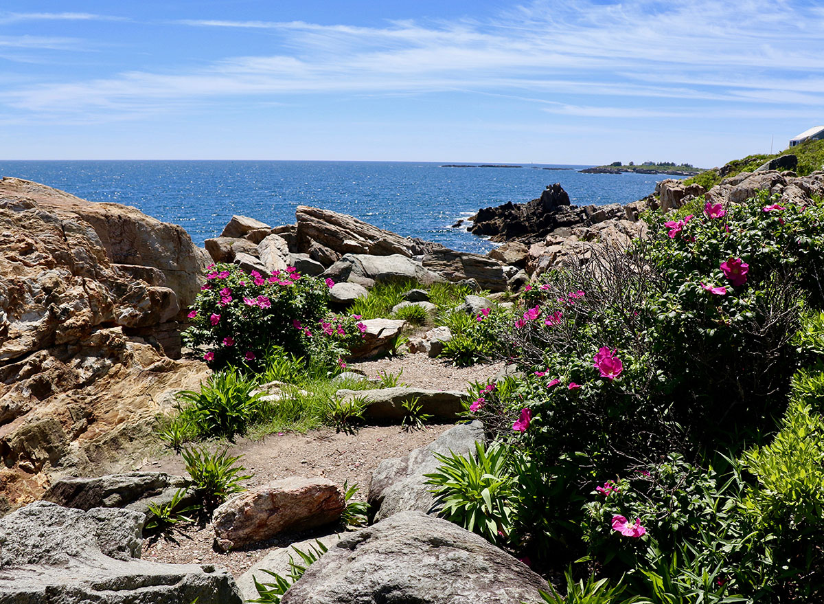 giants stairs park maine