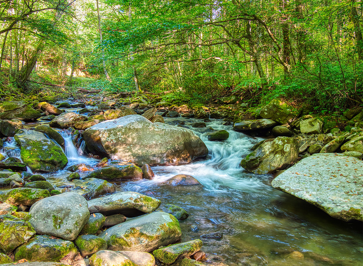 water and rocks at greenbrier great smoky mountains park tennessee