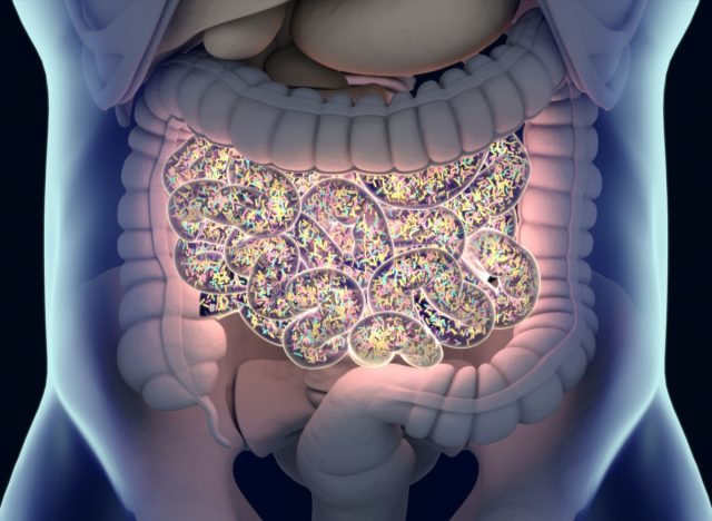 Gut microbiota