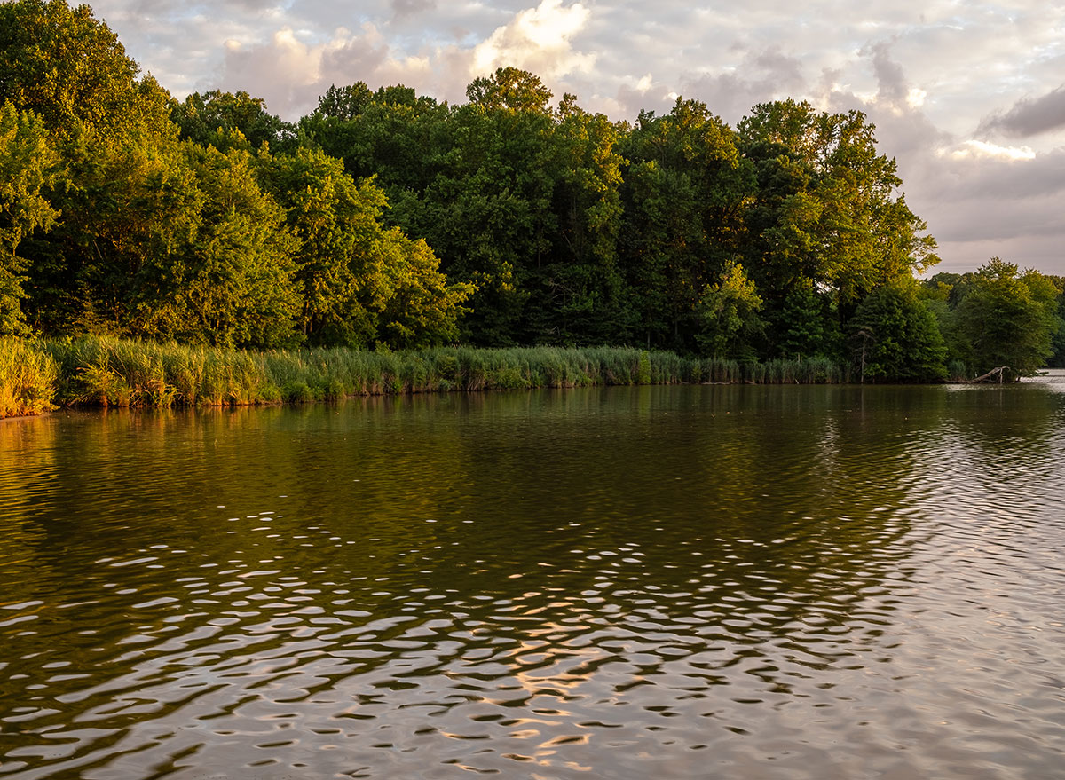 lums pond state park delaware