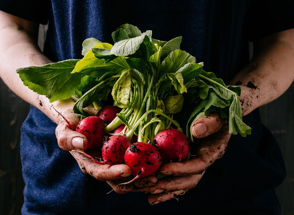 organic vegetables