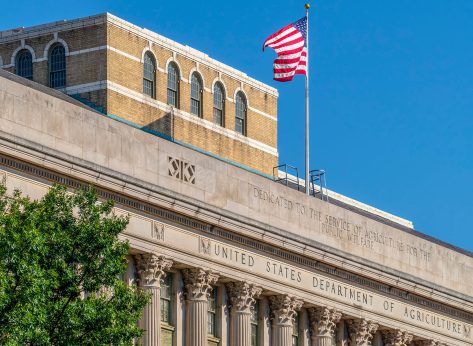 New USDA Ruling Allows Diseased Birds