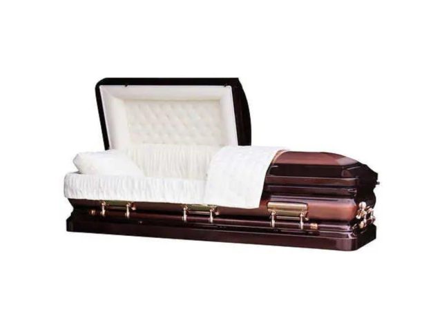 Dark colored Costco box with a white interior
