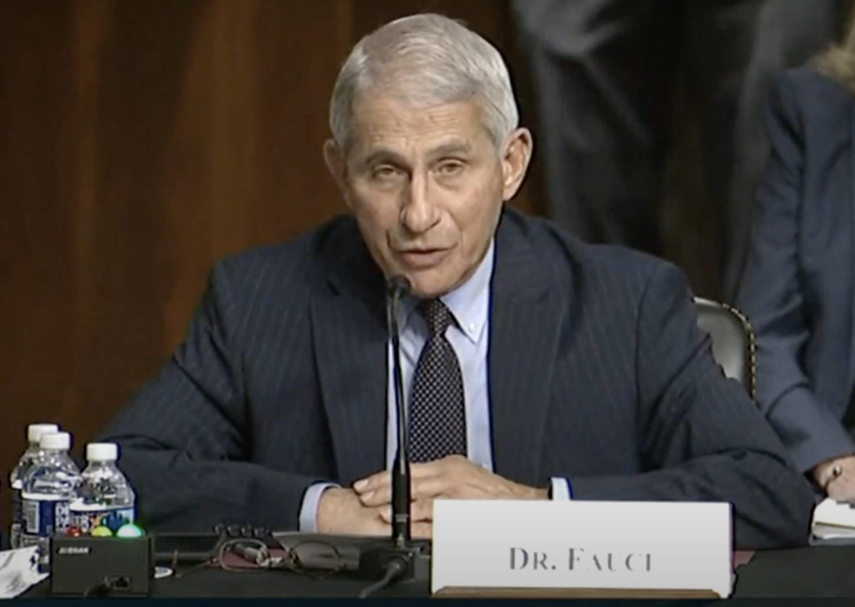 Dr. Anthony Fauci senate testimony