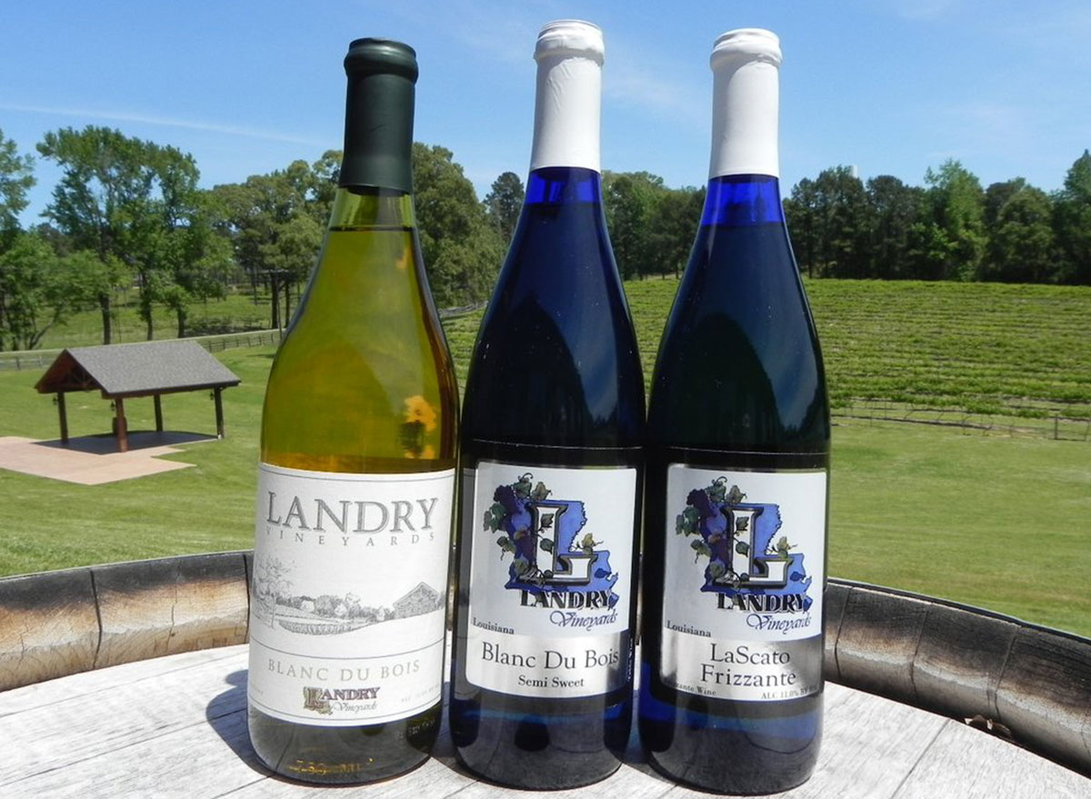 landry vineyards